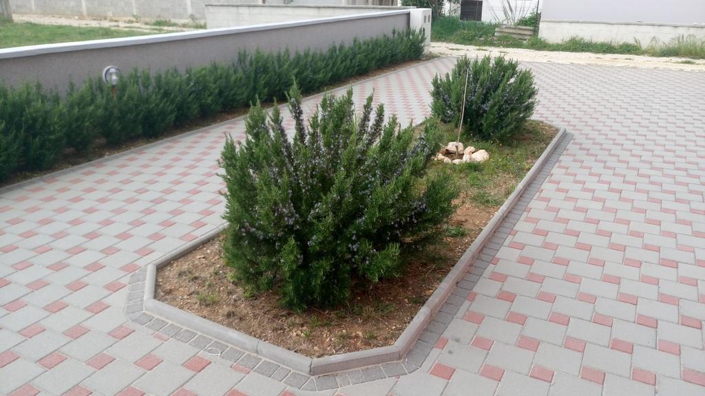 Apartments Vladimir Privlaka Kültér fotó